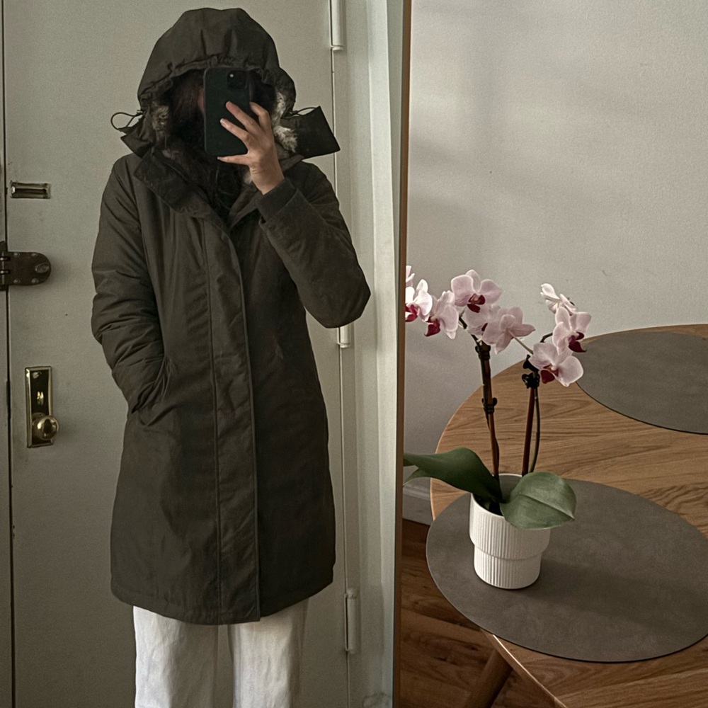 Aritzia Oskar parka
